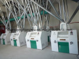 Turn-Key Project for Flour Mill Made in China