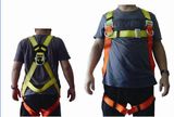 Fall Protection Safety Harness (BA020067)