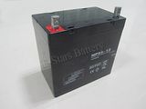 Np55-12 12V 55ah Lead Acid Auto Battery