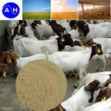 Feed Grade Plant Source Amino Acid Powder