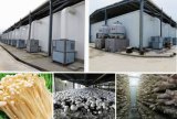 Climate Controller for Mushroom Cultivation Room