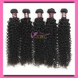 Xbl Dyeable Virgin Unprocessed 5A Brazilian Hair