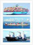 Cargo Agent for Shipment to Germany