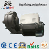 AC Single Phase High Torque Reversible Reducer Electric Motor