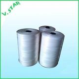 Polyester (PET) Fishnet Twine/Thread