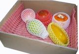 Free Design Hot Sale Apples Packaging Foam Net