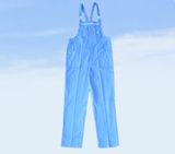 Winter Work Bib Pants