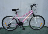 Pink Lady Mountain Bicycle for Hot Sale (SH-MTB211)