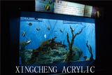 Wall Aquarium