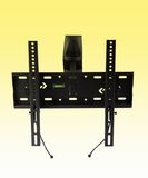 Swivel Plasma TV Mount (WM1258)