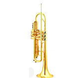 Trumpet (TR8001)