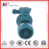 High Quality Explosion-Proof Asynchronous Electric Motor