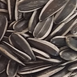 Wholesale High Quality Sunflower Seeds with 2015 New Crop