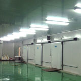 Refrigeration Cold Room for Fruits and Vegetables