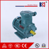 AC Electric Ex-Proof Induction Motor with Customized Frequency