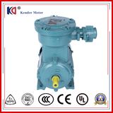 380V AC Electric Anti-Explosion Motor