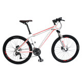 New Type OEM Race 26 Inch Mountain Bicycle