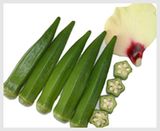 Okra Seed Oil