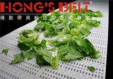 Modular Belt for Vegetable with FDA Certificate (HS-100B)