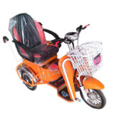 48V CE Motor Tricycle for Disabled & Elderly People (TC-012)