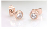 Stainless Steel Jewelry Fashion Jewellery Earring (hdx1053)