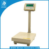 Weighing Bench Scale Electronic Balance 1g/10g Precision
