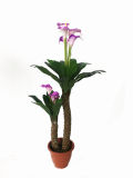 Yy-1691 Wholesale Artificial Flower Calla PU for Home Decoration/ Flowering Bougainvillea Bonsai