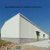 Pre Engineering Stylish Design Steel Structure for Warehouse