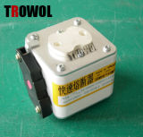 Semiconductor Fuse (RS8 P2m105N)