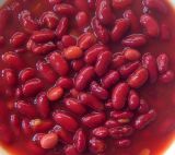 Canned Red Kidney Bean in Tomato Sauce