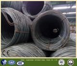 Wire Mesh