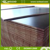 First Class Brown Shttering Film Faced Plywood (w15528)