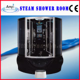 Steam Shower Room, Computerized Shower Room (AT-G9050 TV-DVD)