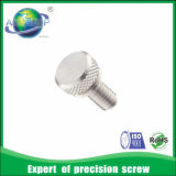 High Quality Stainless Steel Fastener