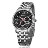 Quartz Watch, Chronograph Watch, Man Watch (5002g)