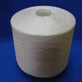 20/8 Dyetube Polyeser Yarn