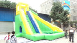 Inflatable Slide, Green Inflatable Slide
