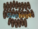 High Quality Cocoon Bobbins Thread for Schiffli Embroidery Machines