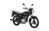 Hight Quality 125cc Motorcycle Zjym125 Four Stroke Sports Motorcycle