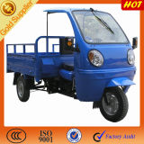 Good Price 3 Wheel Car with Driver Cabin