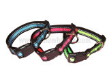 Reflective Dog Collar Pet Products (C1405)