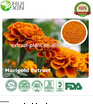 Lutein Extract Plant Powder