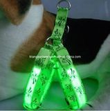 Pet Leash with LED