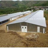 Prefab Steel Structure Chicken House Construction