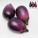 Artificial Vegetable, Imitative Polyfoam Eggplant (EPH08-2-1203)