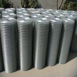 Gal. Welded Wire Mesh