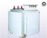 Pbh16 Amorphous Alloy Submersible Transformer