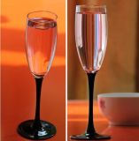 Glassware Champagne Glass