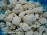 New Crops IQF Cauliflower