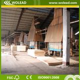 High Quality Plywood, Marine Plywood, Film Faced Plywood (w15420)